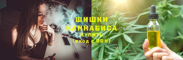 mdpv Михайловск