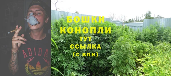 mdpv Михайловск