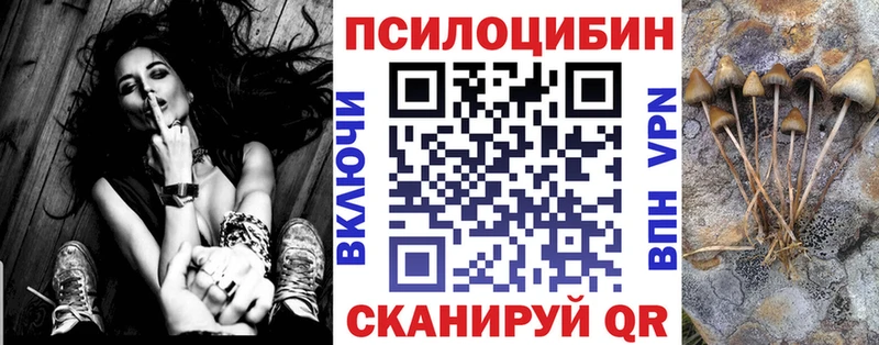 Псилоцибиновые грибы прущие грибы  МЕГА   Пудож  как найти наркотики 