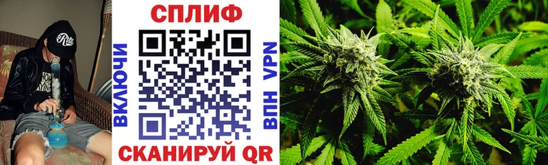 Канабис MAZAR Пудож